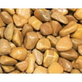 thumbnail image 5 of Yellow / Brown Jasper Tumbled Stones (Crystal Healing Yellow Jasper) 2 oz Lot, 5 of 6