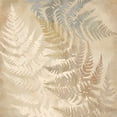 thumbnail image 2 of Coulter, Cynthia 15x15 Black Ornate Wood Framed with Double Matting Museum Art Print Titled - Majestic Ferns II, 2 of 4