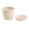 thumbnail image 3 of Office Plastic Desktop Adornment Plants Cactus Planting Pot Flowerpot Beige for Christmas, 3 of 3