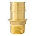 thumbnail image 3 of Conbraco 8975401 F1960 x 0.75 Po Adaptateur Mip, 3 of 3