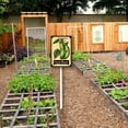 thumbnail image 3 of Yjiankangz Aluminium Yard Sign Green-Beans Vegetable Garden Sign 8x12inch Outdoor Natural Retro Metal Signs Plant Markers And 12.8" Stake Kit, 3 of 7