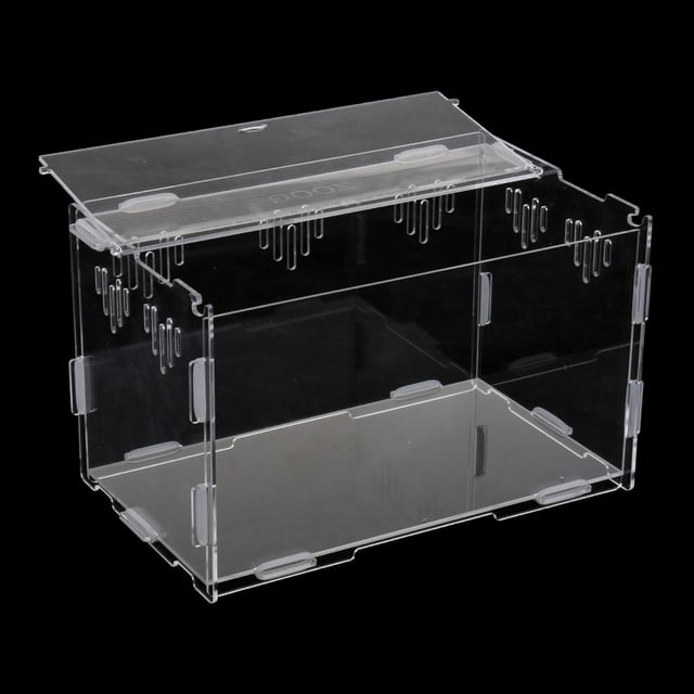 Caja de Cría de , Caja de , , Jaula, Recinto, Terrario, Suministros para , - Claro, S S Colco Terrario de reptiles acrílico