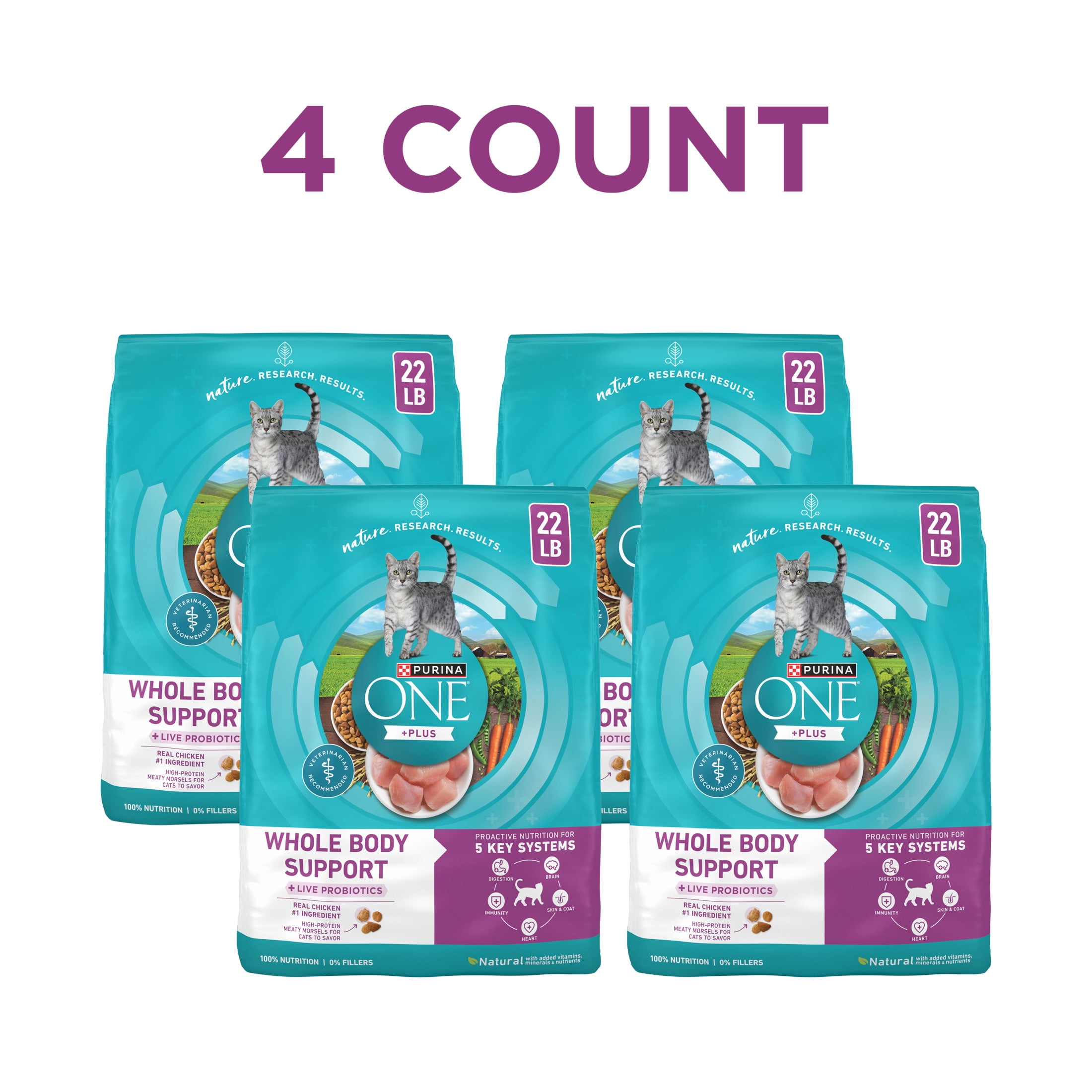 Purina ONE Plus Whole Body Support With Chicken Dry Cat Food, 22 lb.