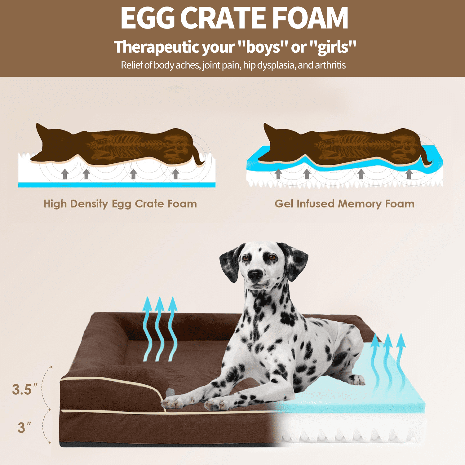 PayUSD Orthopedic Dog Bed for Extra Large Dogs Waterproof Memory Foam Dog Sofa Beds with Sides Non-Slip Bottom and Egg-Crate Foam Dog Bed with Removable Washable Cover,Chocolate(44"Lx32"W x6.5"Th)