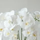 thumbnail image 2 of Orquídeas Artificiales de Tacto Real, Orquídea Phalaenopsis con Macetas de Cerámica Plateadas, para Hogar, Oficina, Baño, Sala de Estar y Decoración de Bodas, Color Blanco, 2 of 4