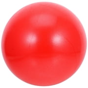 MERRYHAPY Balls for Exercise 2Pcs .8in