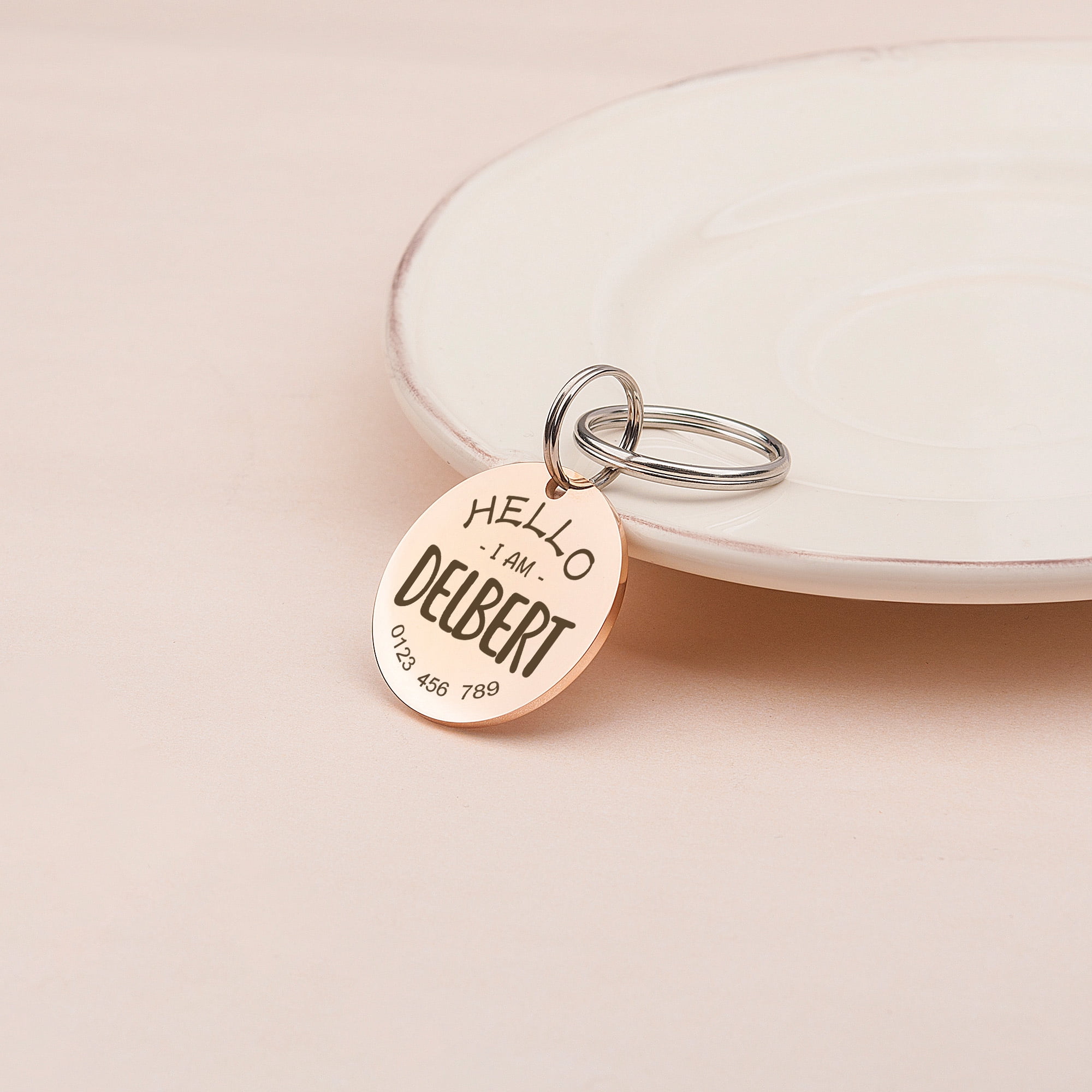 Personalized Round "I am" Dog Pet Tag - Engravable Pet Name Emergency Pet ID Dog Tag - Custom Pet Tags for Cat and Dogs - Small Medium Large Size - Stainless Steel Collar Pet Tags - Ships Next Day!