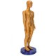 thumbnail image 2 of Modelo De Acupuntura Del Cuerpo Humano, Modelo De Acupuntura Corporal De Material De PVC Práctico, Enseñanza Para El Modelo De Masaje En El Hogar ANGGREK No, 2 of 7