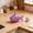 C, variant on Cute Frosted Glass Candy Jar, Decorative Fish ContainerforKitchen Counter, Bathroom, Vanity & Home Decor, Glass Candy Dish, Frosted Glass Food Storage Jar, Decorative Fish Candy Container