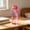 Pink #3, variant on XWSHYW Plastic Water Bottle 550ml Sports Cup for Gym Running Outdoor Travel | Reusable Leakproof Drink Container with Lid and Hanging Rope | Lightweight Portable Cold Water Bottle for Men Women Kids