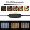 thumbnail image 3 of Stand Andoer USB USB LED LED Light Light Lighting 3200K-5500K 120pcs Beads 14 Niveles Dimmable Con 148 cm/ 58in De Altura Ajustable Soporte de Trípode 5pcs/ Rojo/, 3 of 7