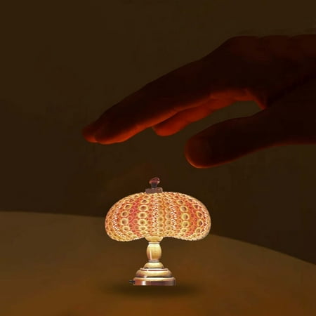 

modern night light Energy saving corridor Sea Urchin Night Light Funny Beach Theme Animal Creative Bedside Lamp Models Mini Retro