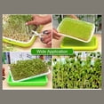 thumbnail image 2 of 1pc Multifunction Grain Sprouter Germination Tray Free Nursery Tray for Grain Green, 2 of 9