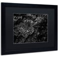 thumbnail image 2 of Trademark Fine Art "Pearls of Nature" Canvas Art by Mathieu Rivrin, Black Matte, Black Frame, 2 of 4