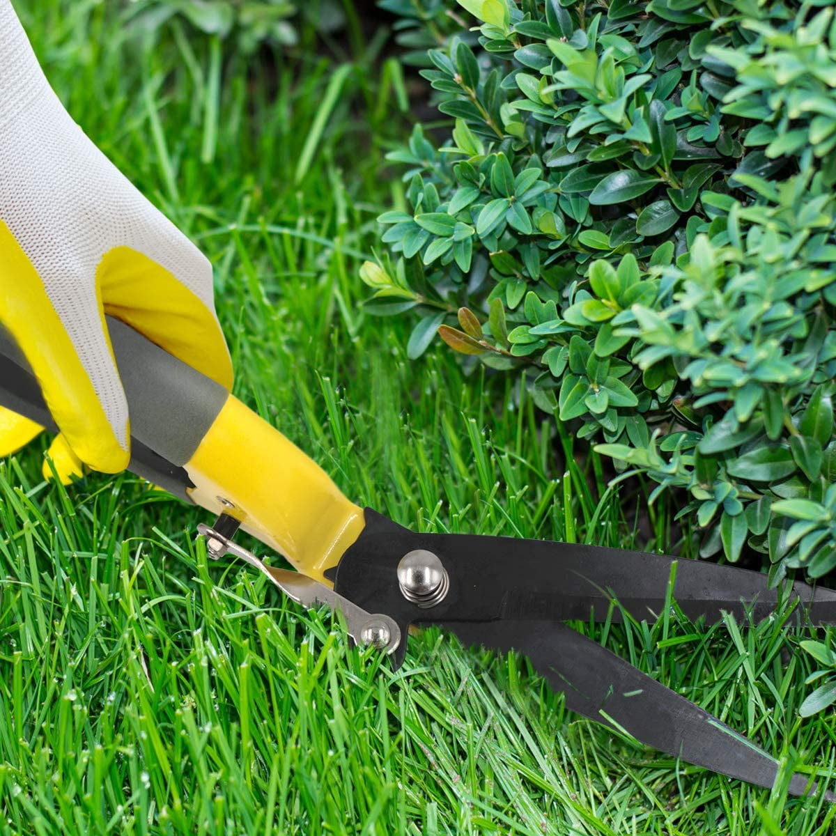 Image of Hand shears lawn trimming tool