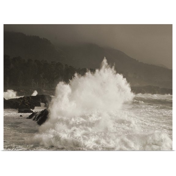 Great BIG Canvas | Rolled Vitaly Geyman Poster Print entitled Waves of Passion
