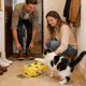 thumbnail image 2 of Juguete Interactivo de Queso para Gatos - Dispensador de Golosinas Autoajustable y Alimentador Lento para Gatos y Cachorros de Interior, Base Antideslizante, 2 of 9
