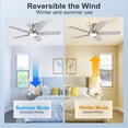 thumbnail image 3 of Ventilador de techo POCHFAN de 42" níquel cepillado con luz y control remoto, 3 of 8