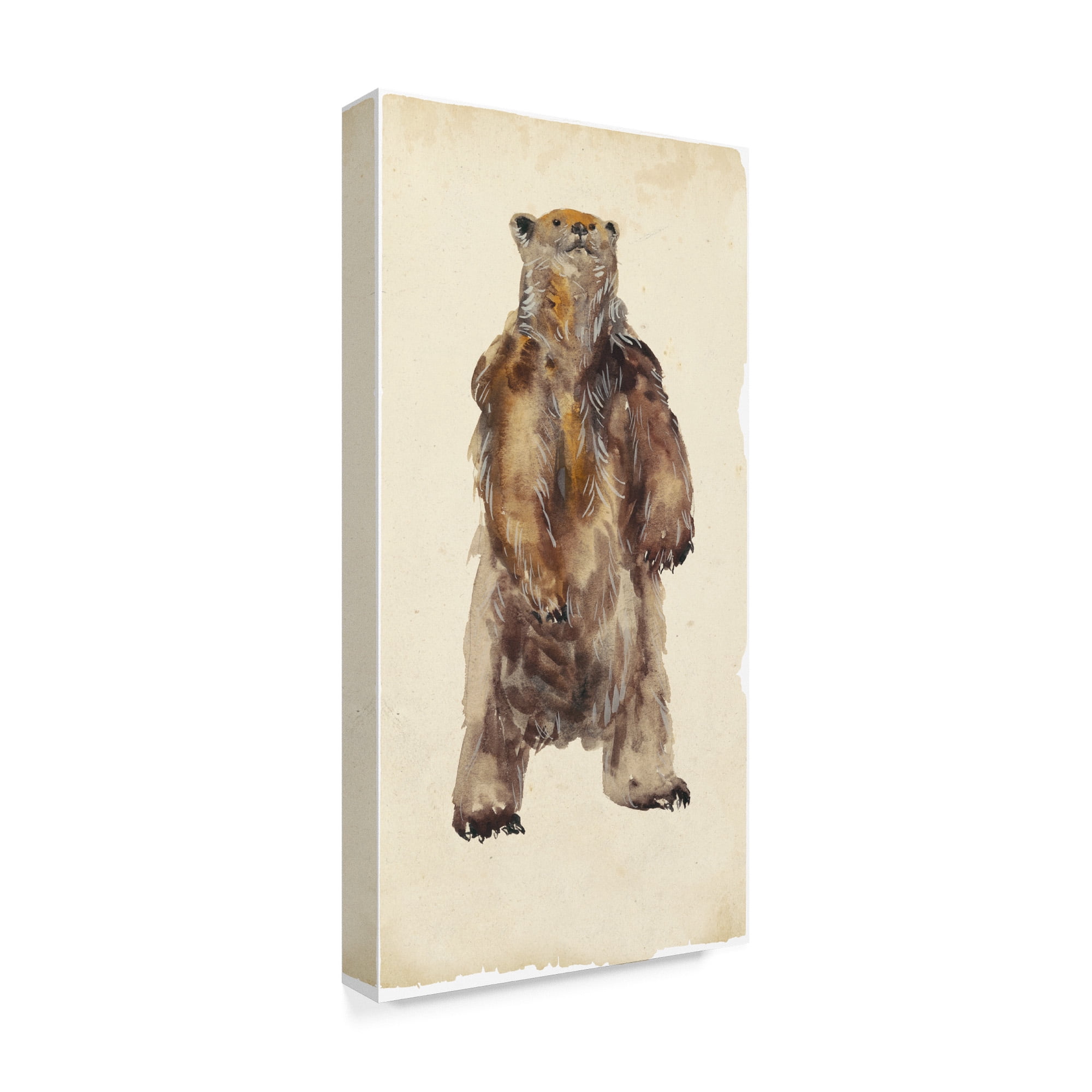 Trademark Fine Art 'Brown Bear Stare I' Canvas Art by Melissa Wang