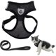 thumbnail image 1 of Arnés para Gatos Correa para Perros pequeños Arnés Ajustable para Gatitos, Arnés para Perros y Gatos Antiescape, Arnés de Malla Suave Reflectante para Cachorros, Gatitos (M, Negro) Sincero Electrónica, 1 of 5