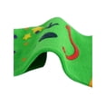 thumbnail image 6 of INSPIRE CHIC Unisex Dots Pattern Elastic Cuffs Ankle Length Toe Socks Green, 6 of 6