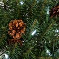 thumbnail image 4 of Home Heritage 27" Artificial Christmas Wreath Prelit LED Lights and Timer, 4 of 5