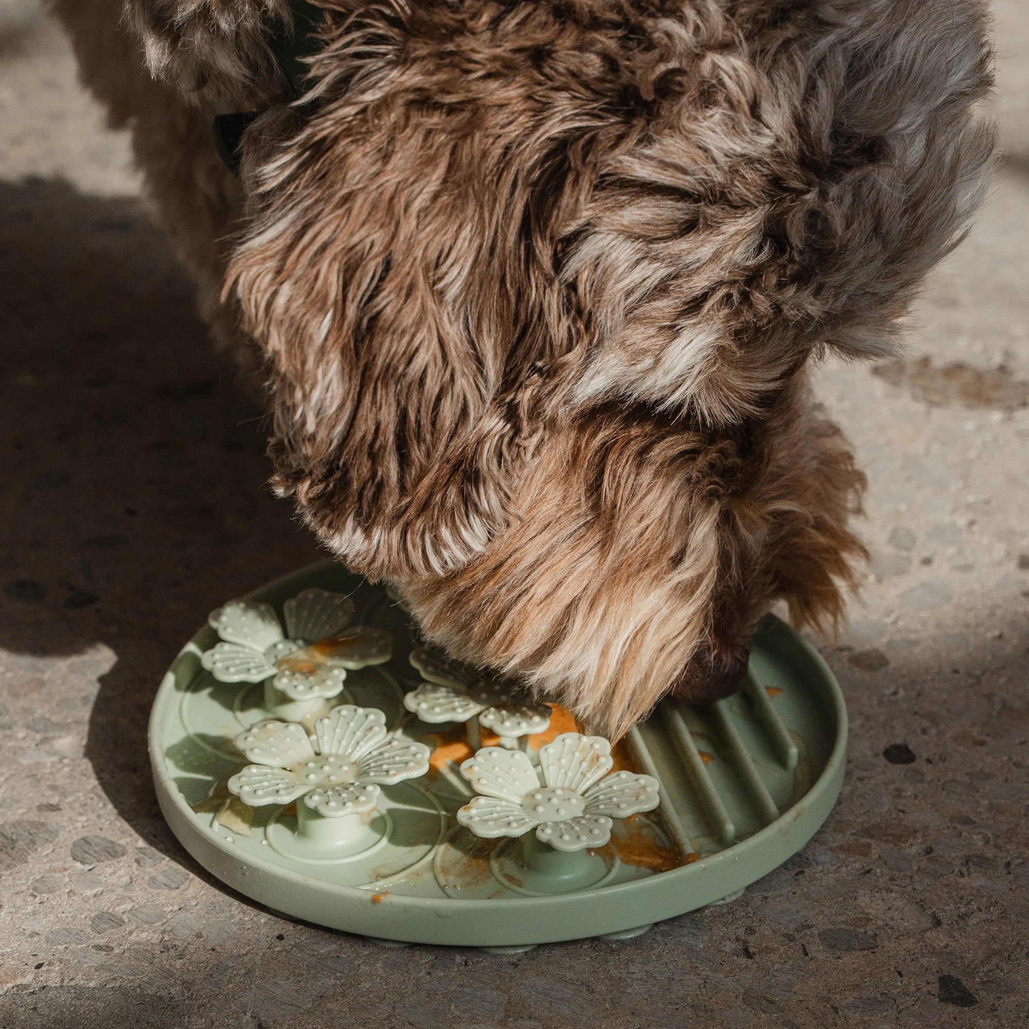 Dexypaws: Hide & Seek Slow Feeder - Sage Green - Dog & Pet, Meal & Treat Feeding Accessory, Fits In Most 8" Bowls, Suction Base, Food-Grade Silicone