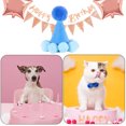 thumbnail image 5 of Chapeau d'Anniversaire pour Animaux de Compagnie, Chapeau de Fête pour Chat et Chien, Ensemble de Coiffeuse Colorée Macaron avec Pompon et Bandeau Réglable, 5 of 5