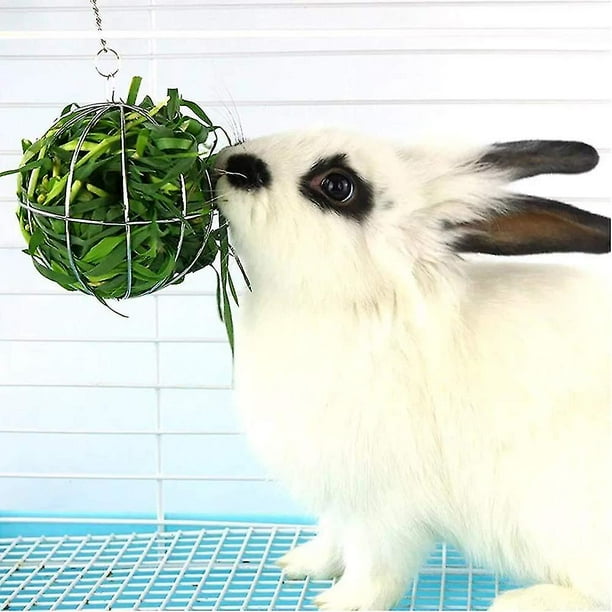 Hay ball feeder for rabbits hot sale