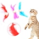 thumbnail image 5 of Campana rodante de bolas de madera para mascotas, juguete de entrenamiento interactivo con plumas de colores, divertido, para gatos, 6 uds., 5 of 8