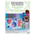 thumbnail image 1 of Crystal-Growing Jewelry, 1 of 6