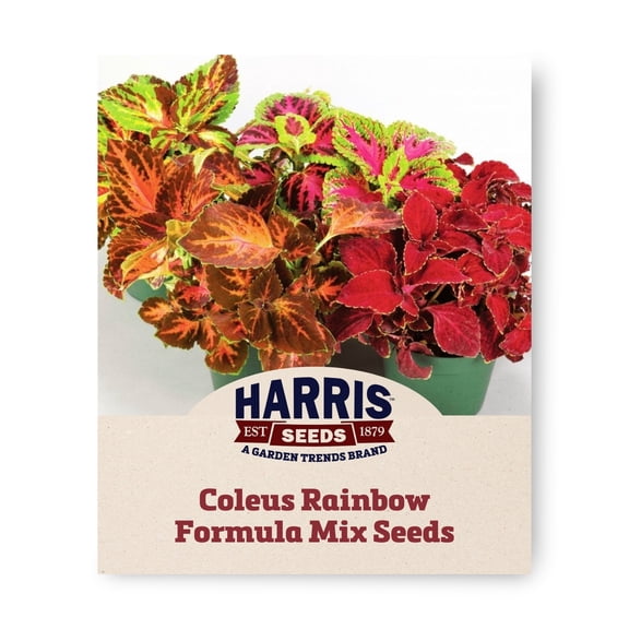 Harris Seeds Coleus Rainbow Formula Mix Seeds, Multicolor Foliage, 500 Count