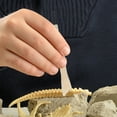 thumbnail image 3 of KAKOWELY 24pcs Educational STEM Science Excavations Kit Dinosaur Digging Tools Interactive Archaeological Toys Chisel Brush DIY Dig Kits for Kids Learning Activity,3.54X"X0.43"X0.28", 3 of 5