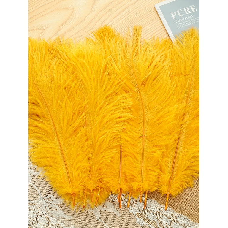 Yellow Feathers (Package of 10)