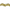 Gold, variant on Expo Int'l 20 yards of Lila Sequin Loop Braid Trim