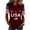 Wine, variant on 250 Years American Flag 250th Anniversary USA T-Shirt