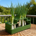 thumbnail image 2 of pdqouc Green Onion Planter & Seed Sprouting Kit, Regrows Scallions in Water, Compatible with Regular Mouth Jars for Windowsill Kitchen Garden, Hydroponics Growing for Beginners (Green), 2 of 6
