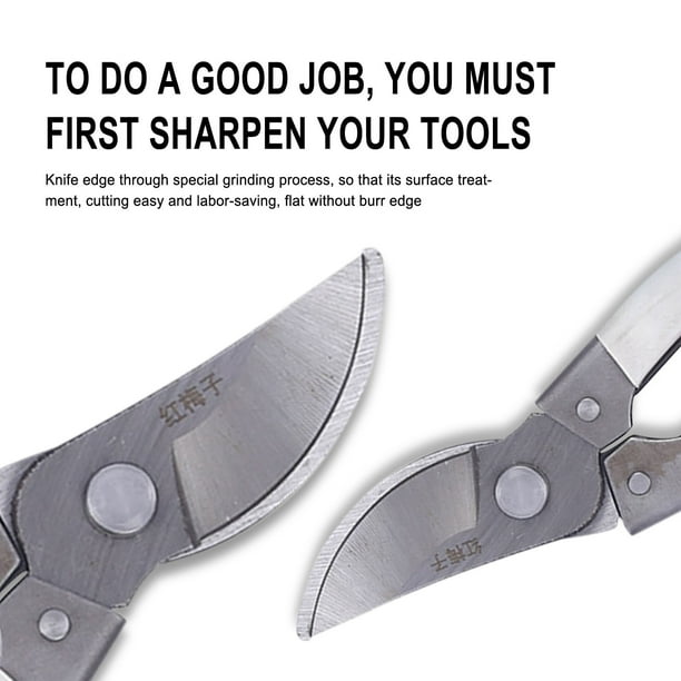 Pruning Shears High Carbon Steel Blade | Garden Scissors for Trimming, Shaping, Bonsai, Flower & Vegetable Plants | Ergonomic Non-Slip Handles | Cuts 3/4" Branches | 26x8x3cm