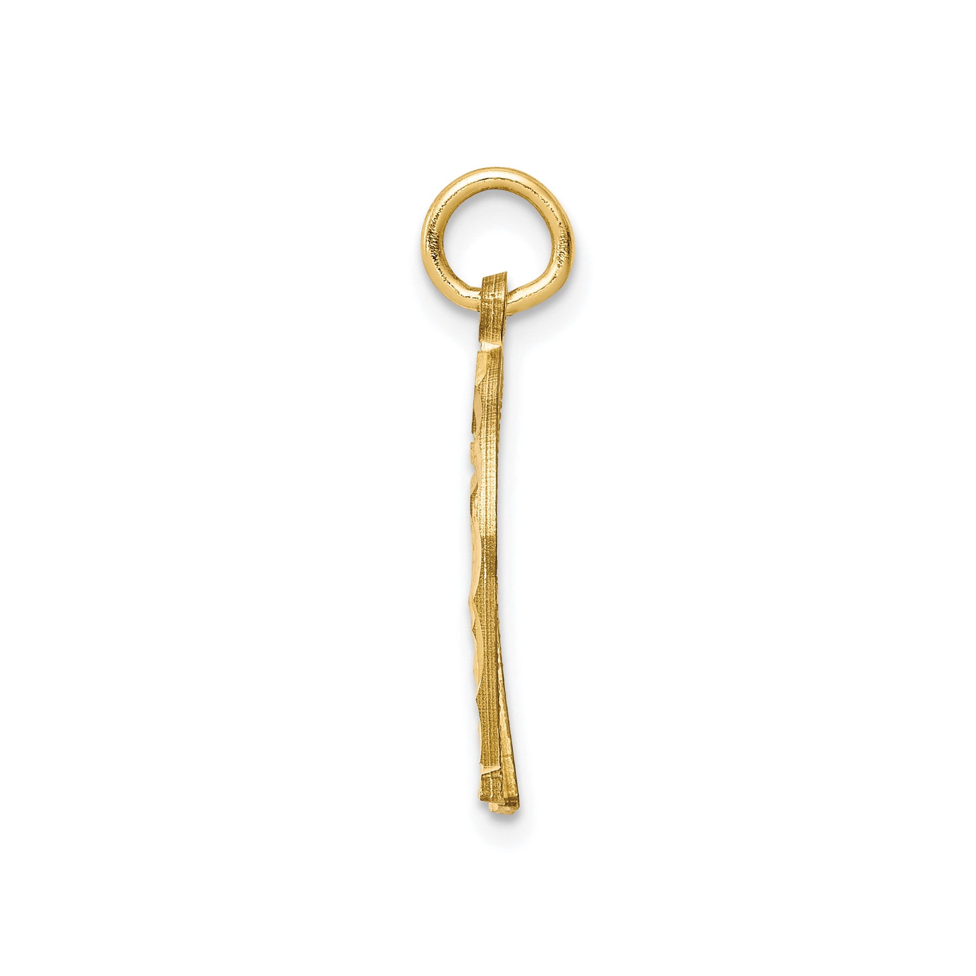 10k Yellow Gold Horseshoe Pendant with Floral Detailing, Lucky Charm Necklace for Women or Unisex, Symbol of Protection and Fortune, Delicate Equestrian Jewelry