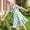 Green, variant on Eltusu Girls Dresses, Crewneck Printed Casual Sleeveless Summer Clothes Black Size 7-8 T