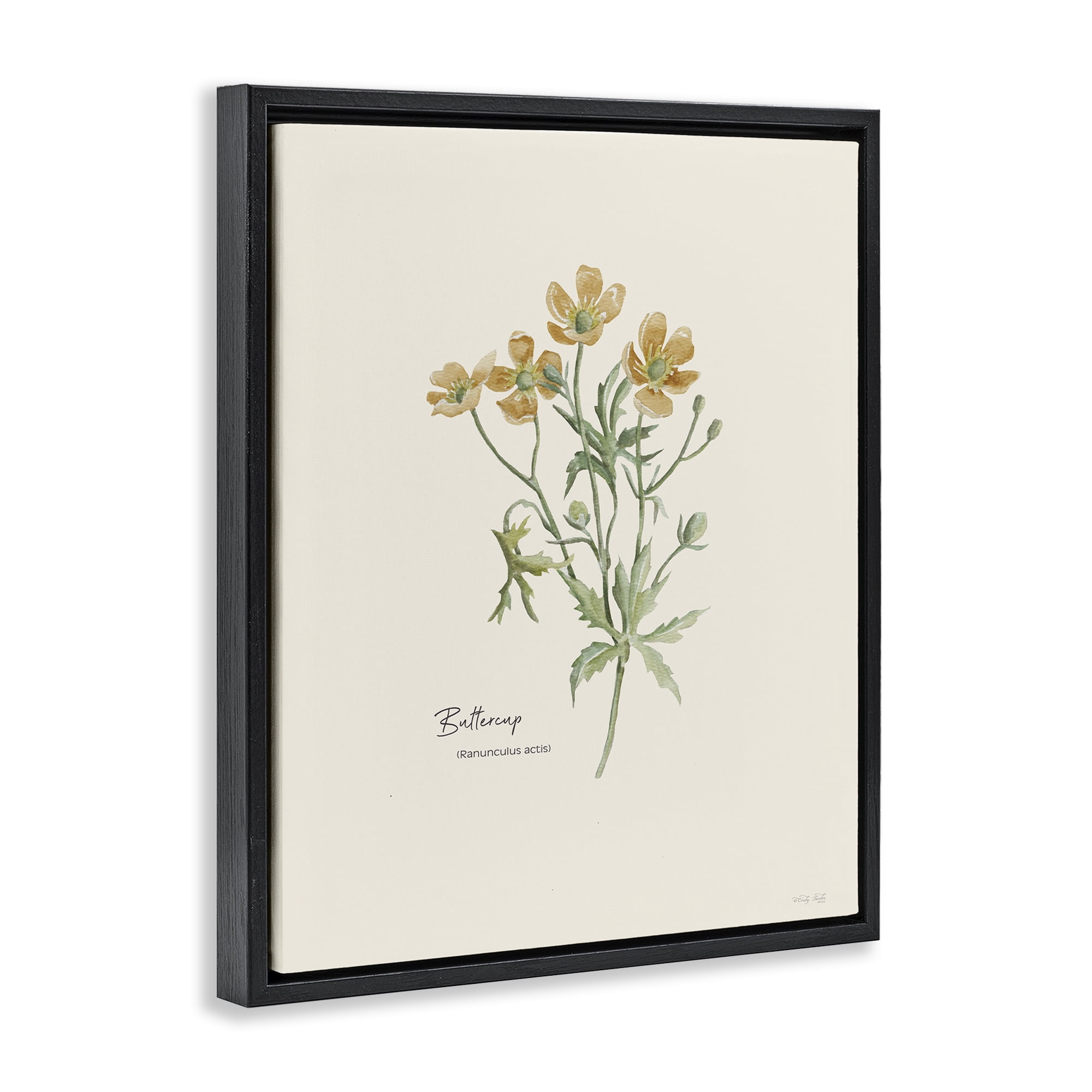 Stupell Industries Simple Buttercup Flowers Botanical & Floral Painting Black Floater Framed Art Print Wall Art, 17 x 21