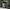 Dark Gray: 6' x 4', variant on SYNGAR 306GAL All-Weather Resin Outdoor Storage Shed & Cabinet - Lockable Double Door Design for Garden Tools, Pool Equipment, Bikes & Yard Accessories