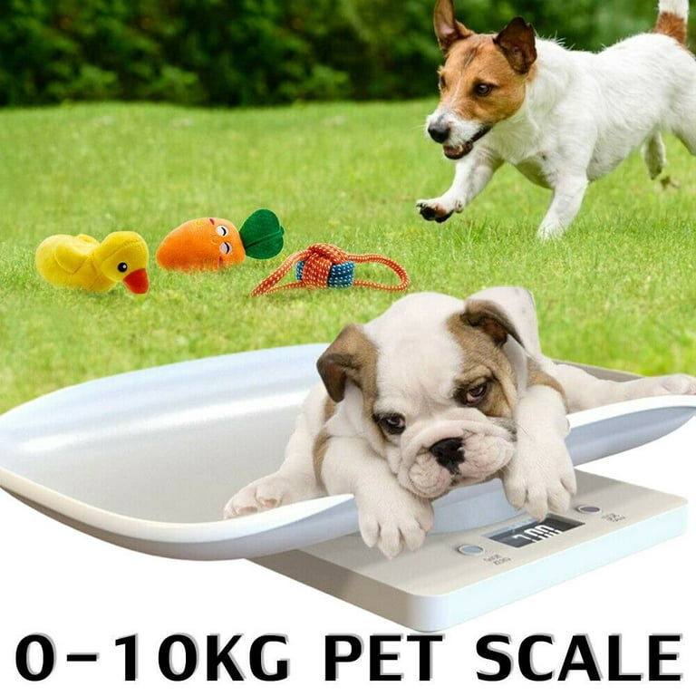 Home Weighing Kittens 10KG Infant Scales with Pallet Digital Weigh Toddler  Body Scale 