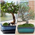 thumbnail image 4 of Shisuyan Simulated Moss Stone Artificial Moss Rocks Flocking 24pcs, 4 of 9