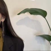 Long Long Drop earrings