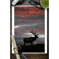 thumbnail image 3 of Elk and Sunset (9x12 Wall Art Print, Home Decor), 3 of 3