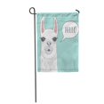 thumbnail image 1 of JSDART Llama Lama Alpaca Color Hello Call Out Sign Garden Flag Decorative Flag House Banner 12x18 inch, 1 of 1