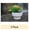 White, variant on Better Homes & Gardens Pottery 12" Fischer Round Ceramic Planter, White