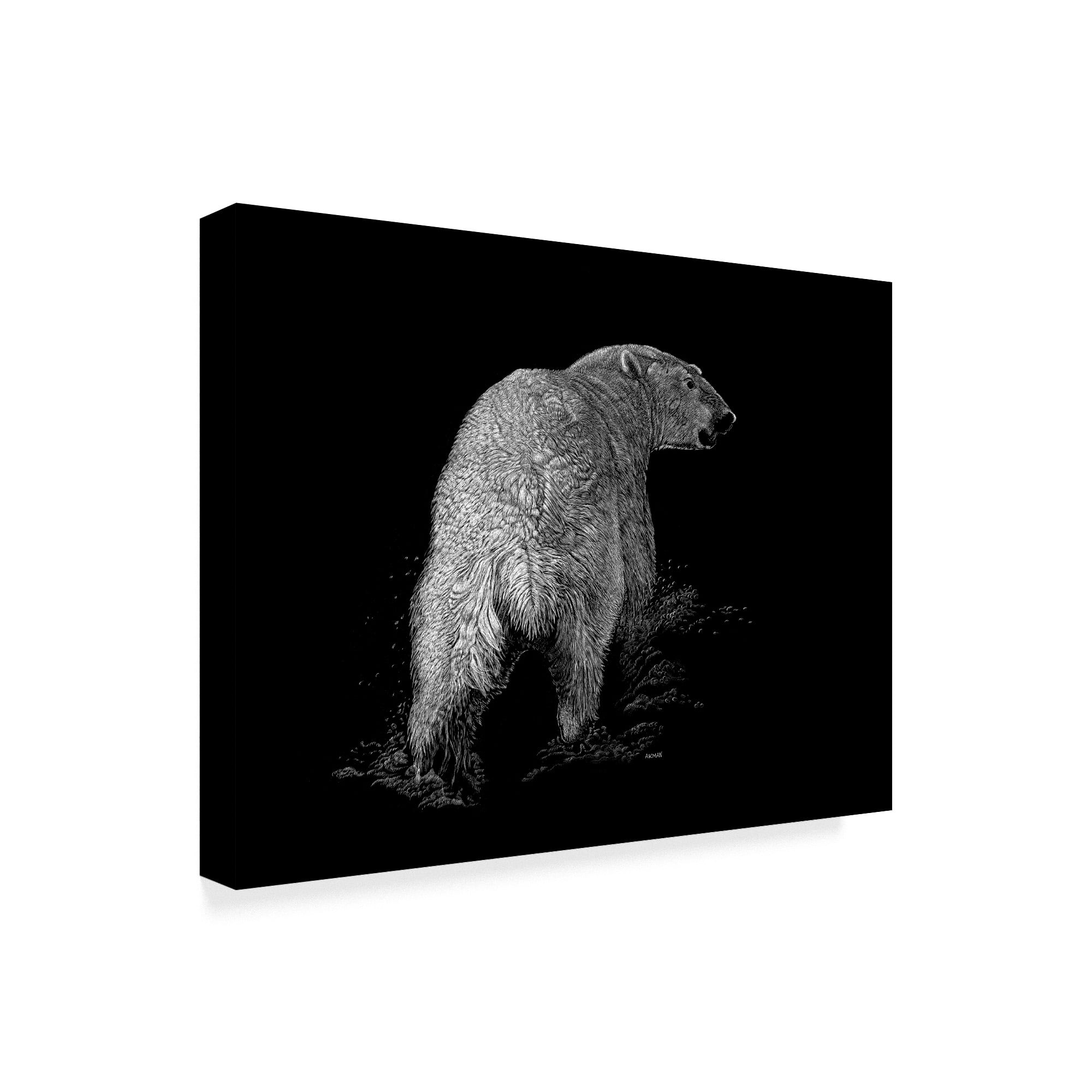 Trademark Fine Art 'Polar Bear Portrait' Canvas Art by Geraldine Aikman