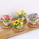 thumbnail image 2 of Mini Bonsai Building Blocks Flower DIY Green Plant Bouquet Potted Model Home Decoration Children's Assembled Toy Gift1674 No BoxNosize Gao Jinjia unisex, 2 of 2